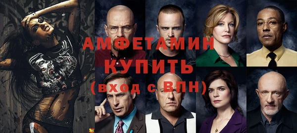 шишки Магас
