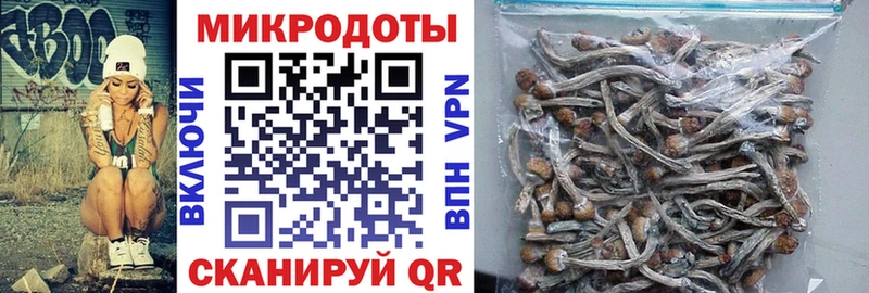 Галлюциногенные грибы ЛСД  что такое   Березники 